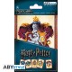 HARRY POTTER - Cartes postales - Set 1 (14.8x10.5)