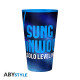 SOLO LEVELING - Premium Large Glass - 400ml - Sung Jinwoo box x2 W15