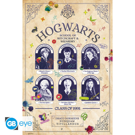 HARRY POTTER - Poster Maxi 91.5x61 FSC MIX - Student Yearbook