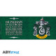 HARRY POTTER - Mug - 460 ml - Serpentard - boîte carton x2