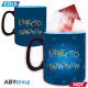 HARRY POTTER - Mug Heat Change - 460 ml - Expecto - with box x2* DT