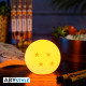 DRAGON BALL - Lampe - Mini Boule de cristal Ø82mm