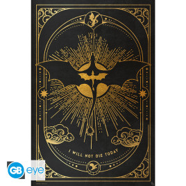 FOURTH WING - Poster Maxi 91.5x61 FSC MIX - Relic