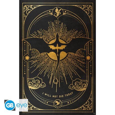 FOURTH WING - Poster Maxi 91.5x61 FSC MIX - Relic