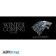 GAME OF THRONES - Mug - 460 ml - Stark/Winter is coming - with box x2