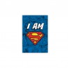 Superman - Magnet - I AM SUPERMAN x6