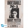 HARRY POTTER - Poster « Indésirable n°1 » roulé filmé (91.5x61)