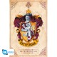 HARRY POTTER - Poster « Gryffindor » (91.5x61)