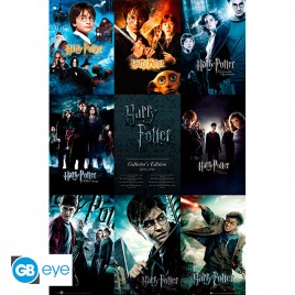 HARRY POTTER - Poster "Collection" (91.5x61)