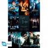 HARRY POTTER - Poster "Collection" roulé filmé (91.5x61)