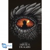 HOUSE OF THE DRAGON - Poster «Dragon» (91.5x61)