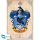 HARRY POTTER - Poster « Ravenclaw » (91.5x61)