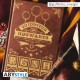 HARRY POTTER - A5 Notebook Quidditch X4