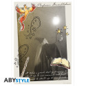 HARRY POTTER - Postcards - Set 2 x5 (14,8x10,5)