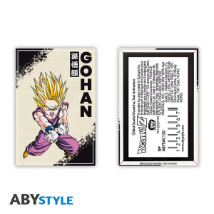 DRAGON BALL - Standard Magnet - DBZ/ Gohan x4