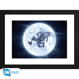 ONE PIECE - Framed print "Nika" (30x40) x2