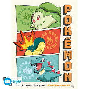 POKEMON - Portfolio 9 posters "Starters" (21x29,7) *
