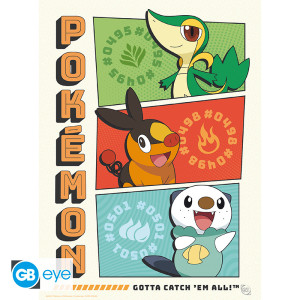 POKEMON - Portfolio 9 posters "Starters" (21x29,7) *