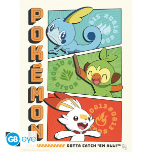 POKEMON - Portfolio 9 posters "Starters" (21x29,7) *
