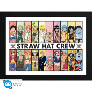 ONE PIECE - Framed print "Past & Present" (30x40) x2