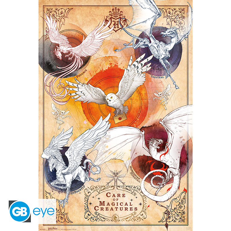 HARRY POTTER - Poster Maxi 91.5x61 FSC MIX - Magical Creatures