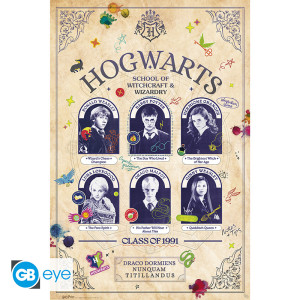 HARRY POTTER - Poster Maxi 91,5x61 FSC MIX - Album Scolaire