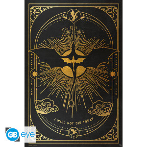 FOURTH WING - Poster Maxi 91,5x61 FSC MIX - Relique