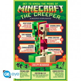 MINECRAFT - Poster "Creepy Behaviour" roulé filmé (91.5x61)