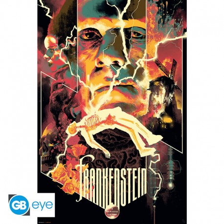 UNIVERSAL MONSTERS - Poster «Frankenstein» roulé filmé (91.5x61)