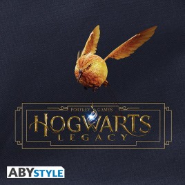HARRY POTTER - Sac à dos - Hogwarts Legacy - Bleu