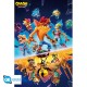 CRASH BANDICOOT - Poster Maxi 91.5x61 - It's about time