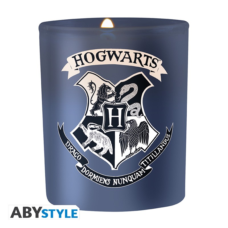 HARRY POTTER - Water bottle - Hogwarts x2 - Abysse Corp