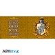 HARRY POTTER - Mug - 460 ml - Hufflepuff - box x2