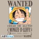 ONE PIECE - Tshirt "Wanted Luffy" man SS sand - basic