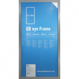 GBEYE - MDF Silver Frame - PDQ - 50 x 100cm - X2