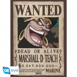 ONE PIECE - Poster Chibi 52x38 - Wanted Blackbeard