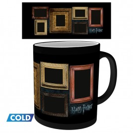 HARRY POTTER - Mug heatchange - 320 ml - Portraits - avec boite x2*