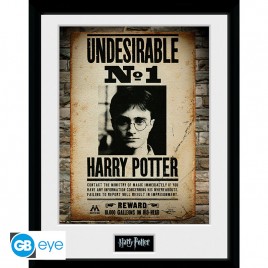 HARRY POTTER - Framed print "Undesirable No 1" (30x40) x2