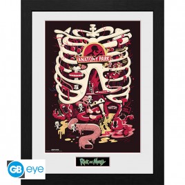 RICK AND MORTY - Framed print "Anatomy Park" (30x40) x2
