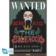 ONE PIECE - Poster Maxi 91,5x61 - Wanted Brook