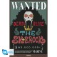 ONE PIECE - Poster Maxi 91.5x61 - Wanted Brook