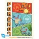 POKEMON - Portfolio 9 posters "Starters" (21x29,7) X5