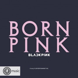 BLACKPINK - Cosmetic Case - Born Pink - Black