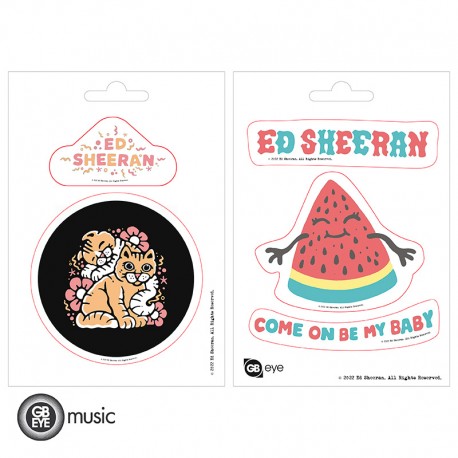 ED SHEERAN - Stickers - 16x11cm /2 planches - Set 1 X5