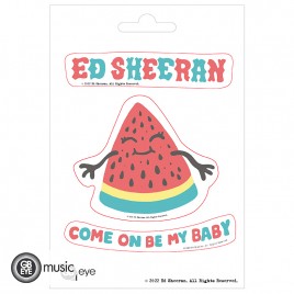 ED SHEERAN - Stickers - 16x11cm / 2 sheets - Set 1