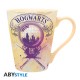 HARRY POTTER - Mug - 250 ml - Amortentia - cardboard pkg x2