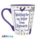 HARRY POTTER - Mug - 250 ml - Letter from Hogwarts - cardboard pkg x2
