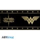 DC COMICS - Mug - 250 ml - Wonder Woman - boîte x2