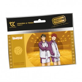 HAIKYU!! - Golden TIcket - Ushijima & Tendo