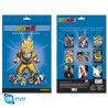 DRAGON BALL - Portfolio 9 posters DBZ/Groupe (21x29,7) X5